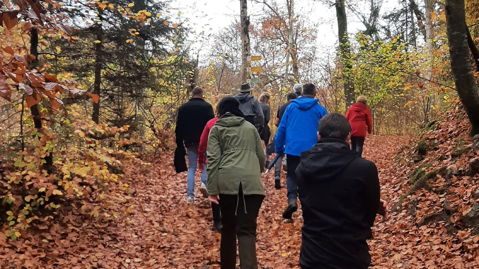 Herbstwanderung