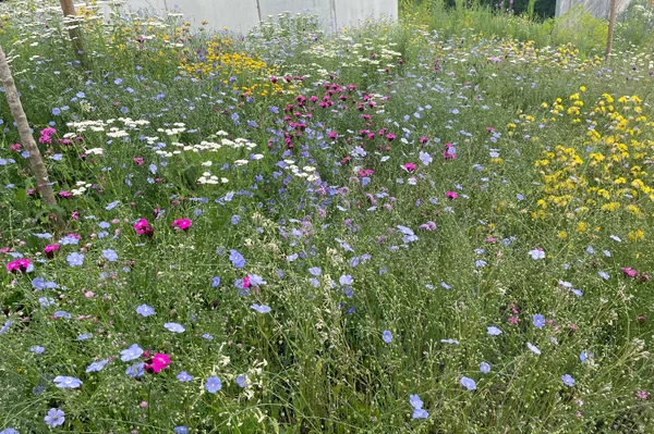 Naturerlebnis Parkplatz Krauchenwies - Funktionali
