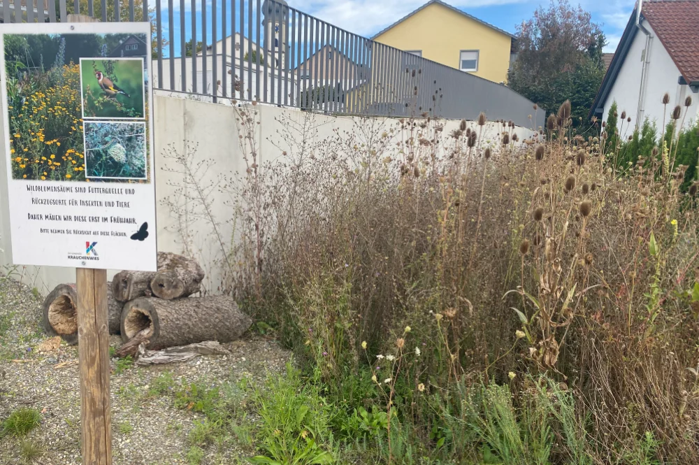 Naturerlebnis Parkplatz Krauchenwies - Funktionalität und Artenvielfalt