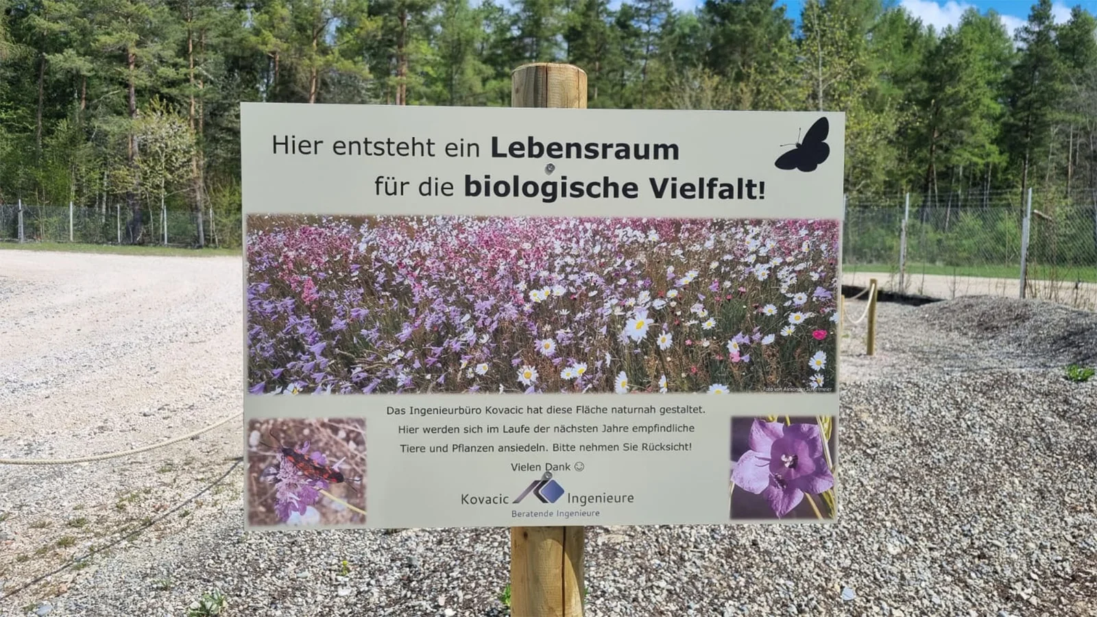 Kovacic Ingenieure gestalten Lebensraum für die biologische Vielfalt -> Naturnahes Grün