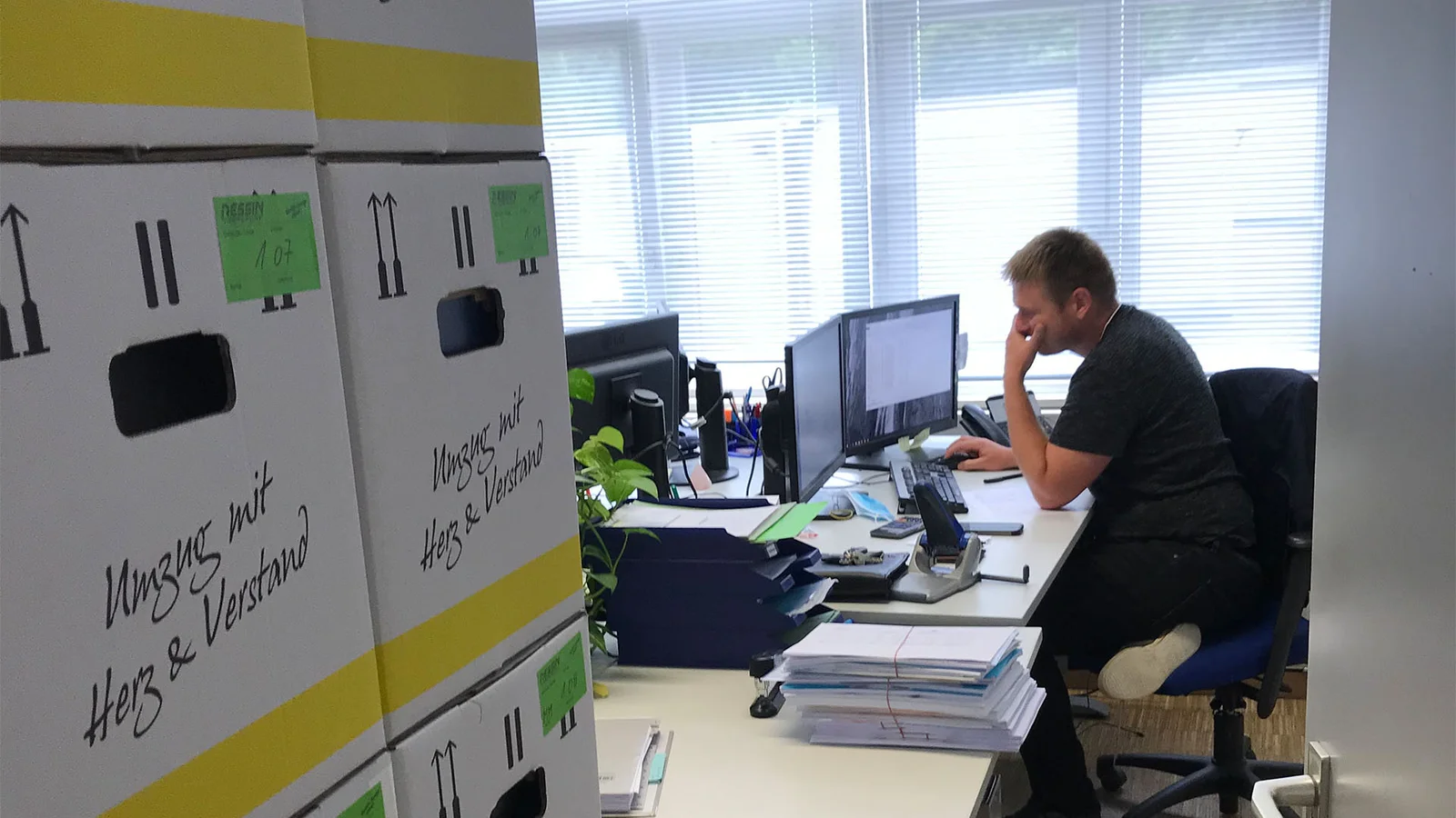 Umzug ins Grüne Zentrum