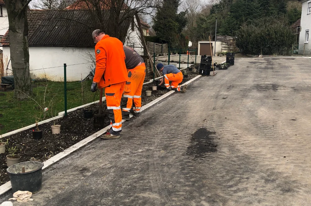 Naturerlebnis Parkplatz Krauchenwies - Funktionalität und Artenvielfalt